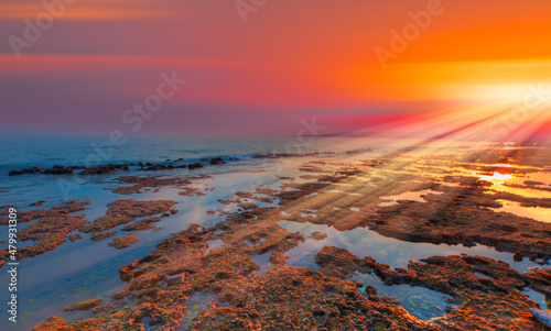 Sea sunset with colorful moss on the rocks