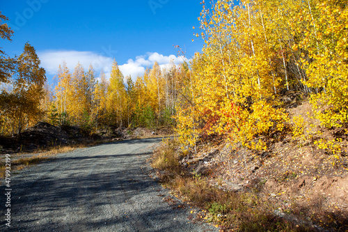 Autumn forest and road along the Vysokaya mountain. Nizhny Tagil. Sverdlovsk region. Russia photo