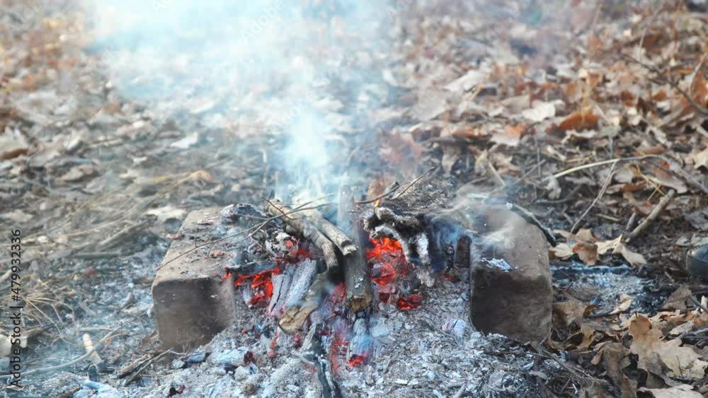 The embers of a campfire in the autumn forest among withered leaves are stirred with a stick The embers of a campfire in the autumn forest among withered leaves are stirred with a stick