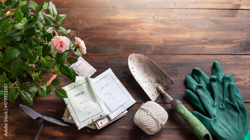 Top view of garden tools, mini rose bush and seeds packets on wooden table. Image with copy space. Spring sowing concept