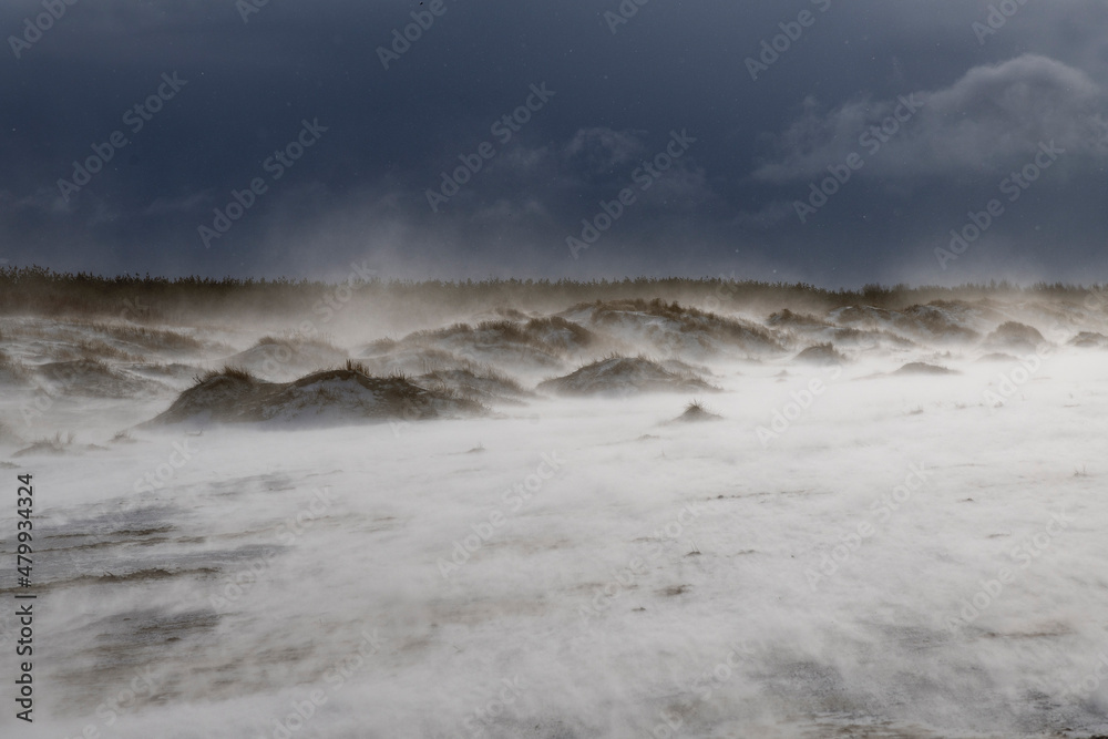 Blizzard on Baltic sea beach in windy day. Blizzard on Baltic sea beach in windy day.