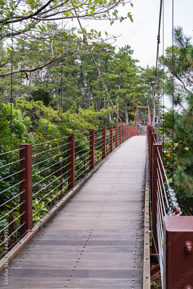 Obraz premium 静岡県 伊東市 城ヶ崎海岸 門脇吊橋
