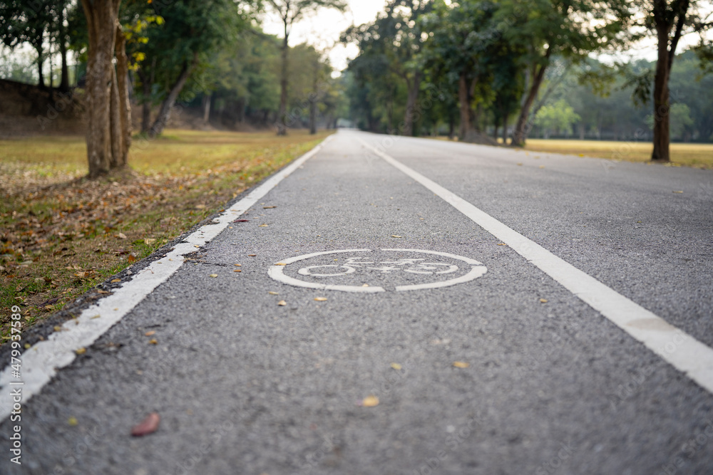 Obraz premium bike lane morning bike nature on both sides