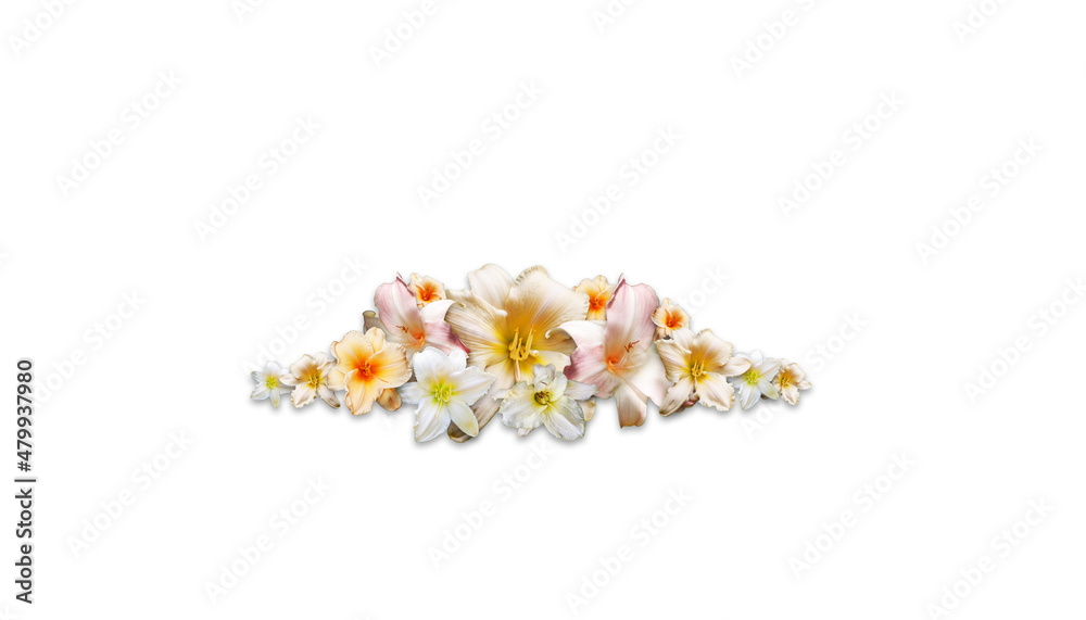 Composition florale - Groupe de fleurs blanches détourées sur fond blanc Composition florale - Groupe de fleurs blanches détourées sur fond blanc