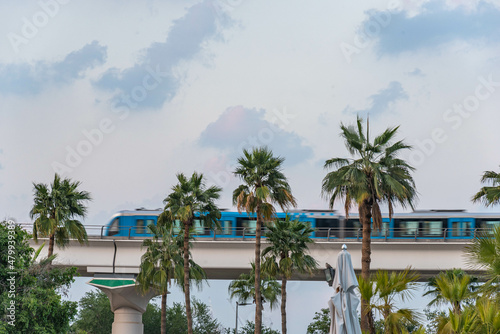 Palmen und Brücke mit Zug © driendl