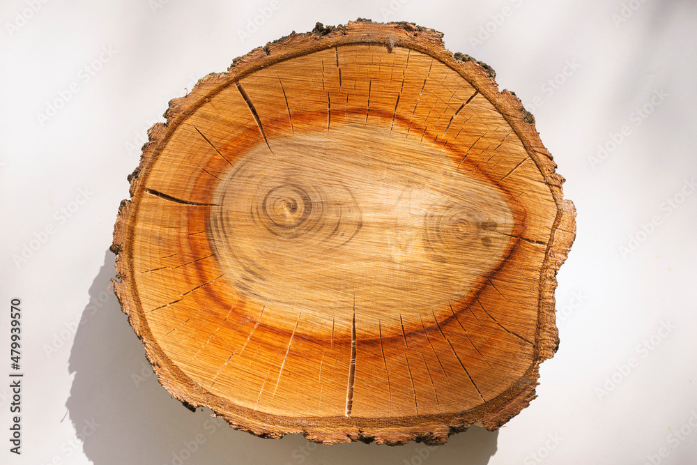 Obraz premium double core woodcut