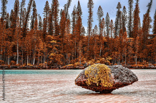 Ile des pins piscine naturelle