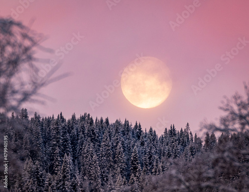 Monset over forest