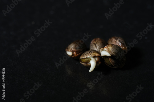Hemp cultivation. Fresh weed seedlings. Young cannabis sprouts on black background. Close up view of marijuana seeds. Growing concept.