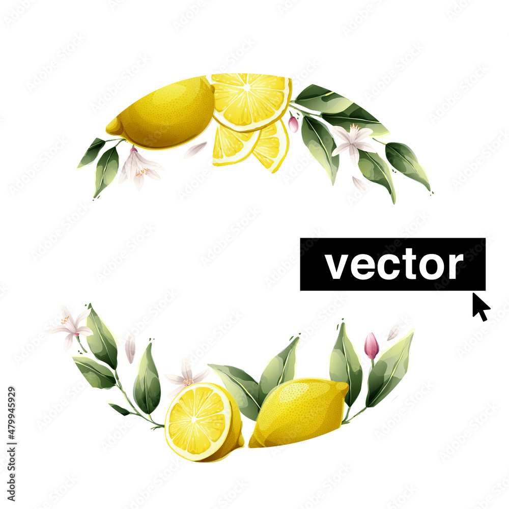 Vector lemon wreath watercolor style illustration. Set of green leaves ...