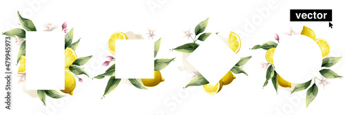 Hand-drawn watercolor painting lemon frame on white background. Vector illustration of green leaves, flowers, buds, and branches.