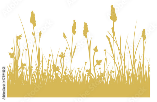 Meadow seamless border. Yellow grass plants silhouettes