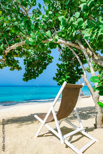 palm beach chaise longue