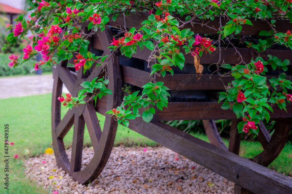 decorative wooden cart with flowers