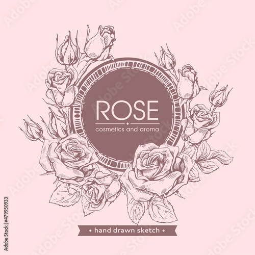 Frame with Roses . Detailed hand-drawn sketches, vector