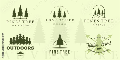 set of pine tree logo vintage vector illustration template icon graphic design. bundle collection of various retro plant pines with typography