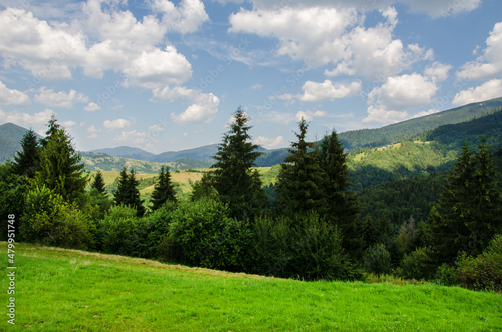 Mountain landscape. countryside landscape. beautiful views of the mountains in the summer. green trees and beautiful cloudy sky.