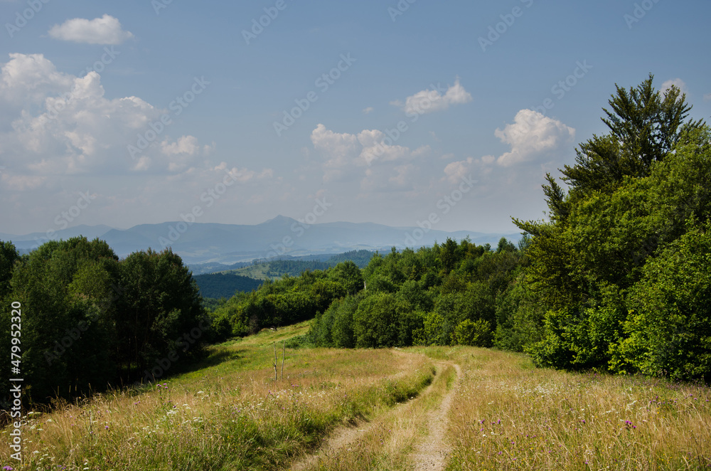 Obraz premium Hiking trail in the mountains highlands. Beautiful views of the mountains in the summer. Green trees and beautiful cloudy sky.
