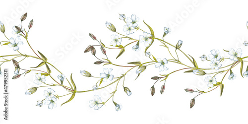 Seamless border of white flowers and green leaves. Summer meadow wildflowers decor. Watercolor hand painted isolated element on white background.