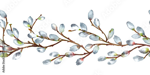 Seamless border of young willow branches with fluffy grey earrings. Spring Easter decoration. Watercolor hand painted isolated element on white background.