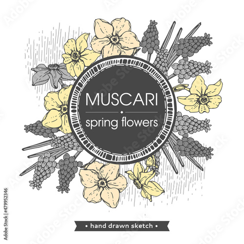 Frame with Spring flawers, daffodils and muscaries . Detailed hand-drawn sketches, vector .