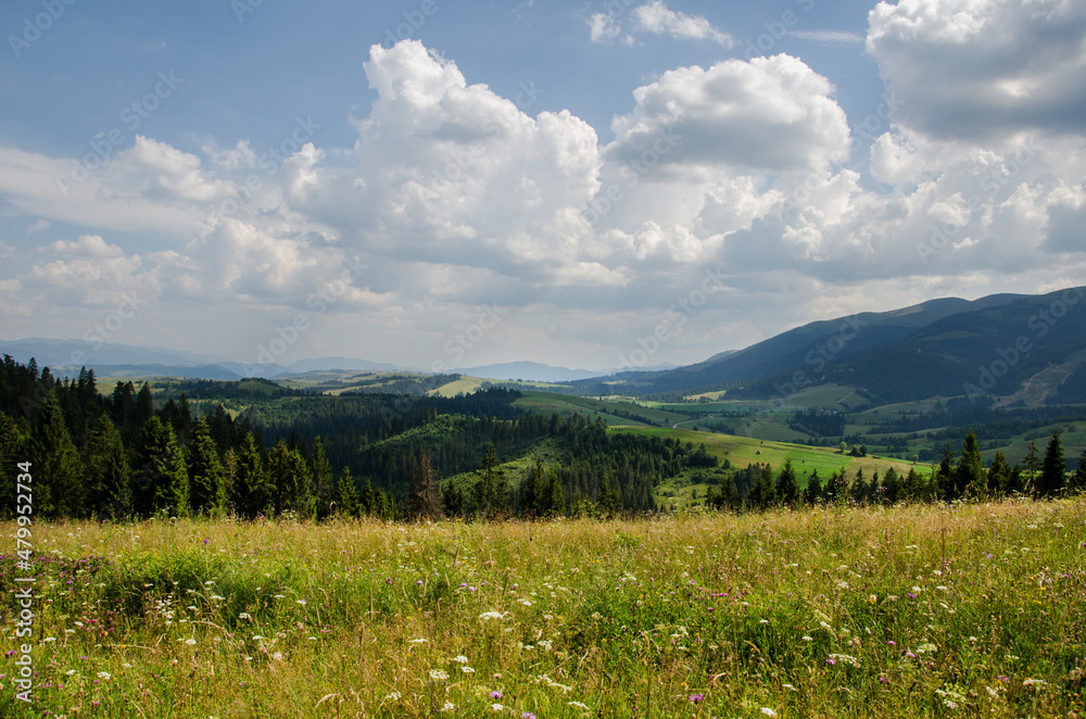 Mountain landscape. countryside landscape. beautiful views of the mountains in the summer. green trees and beautiful cloudy sky.