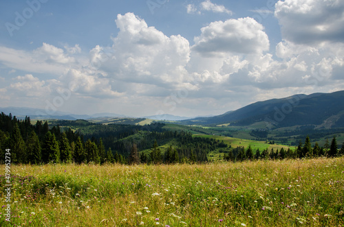 Mountain landscape. countryside landscape. beautiful views of the mountains in the summer. green trees and beautiful cloudy sky.