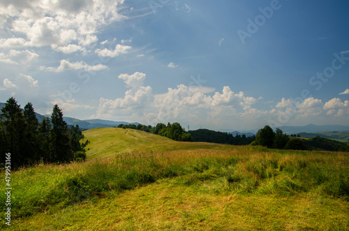 Mountain landscape. countryside landscape. beautiful views of the mountains in the summer. green trees and beautiful cloudy sky.
