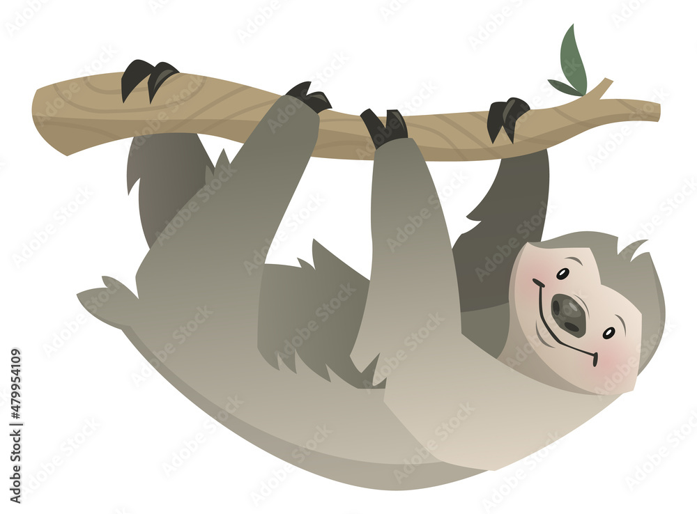Fototapeta premium Sloth hanging on tree branch. Exotic forest animal