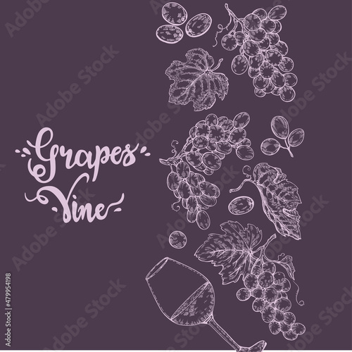 Background filled with bunches of grapes and with lettering grapes, vine.