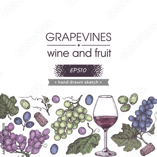 Collection of wine glass and bunches of grapes.