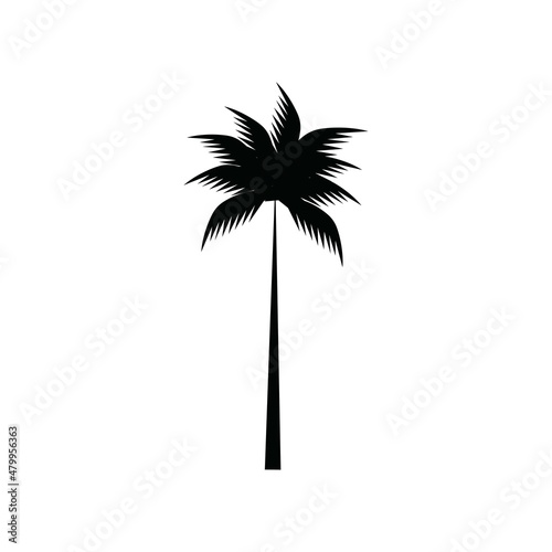 coconut tree icon vector illustration