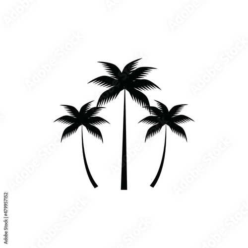 coconut tree icon vector illustration