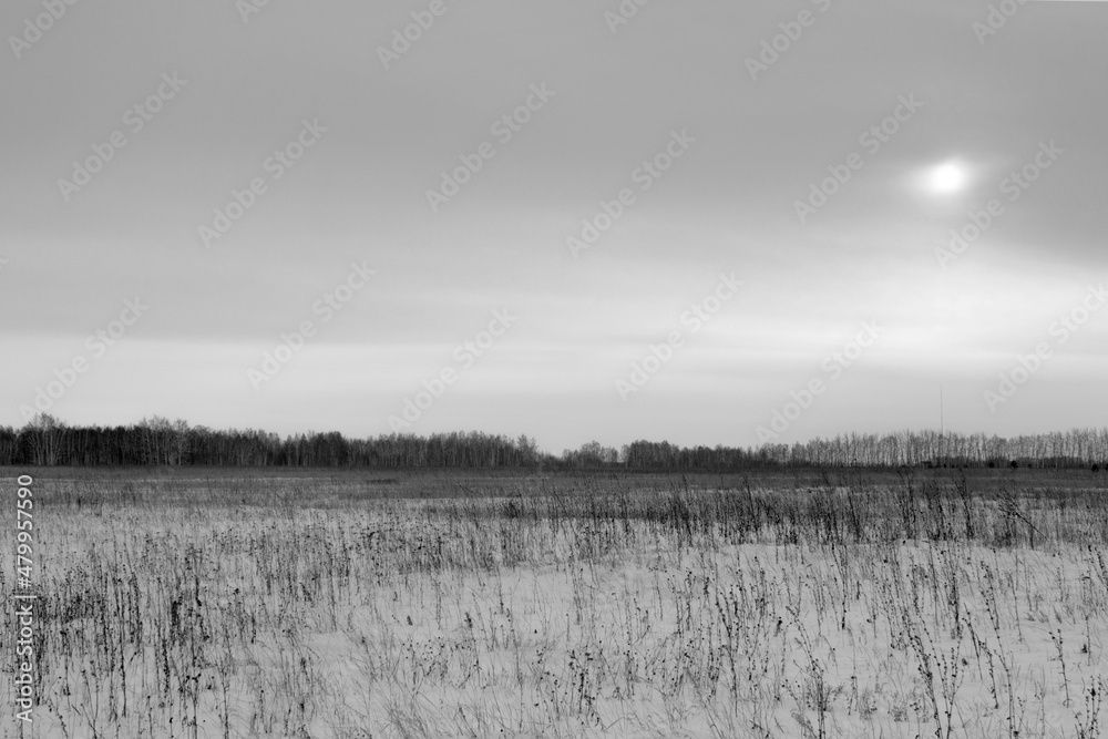 Fototapeta premium Gloomy gray dull winter landscape. Winter, depression, north. Photo of depressive nature in winter. Joyless endless winter, ecological disaster, oppression. Depression illustration.