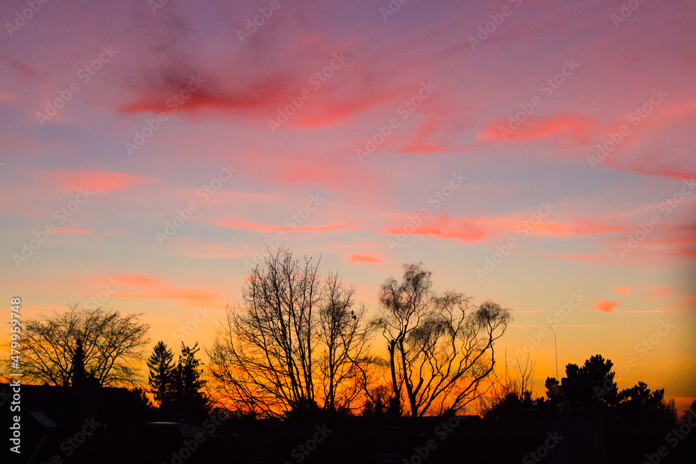 Beautiful Vivid Sunset Black Trees Beautiful Vivid Sunset Black Trees