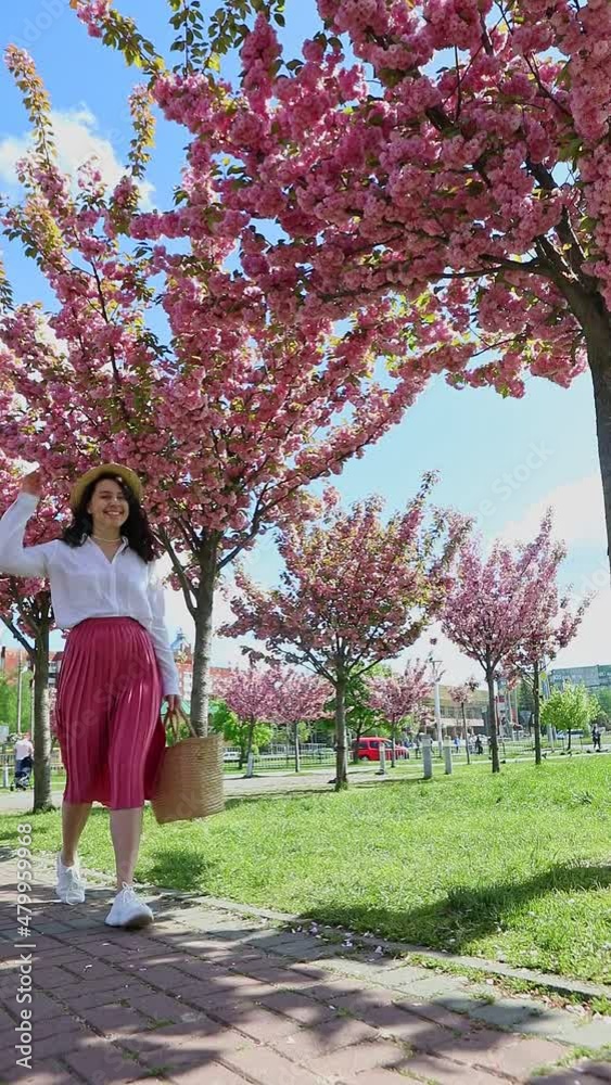 gorgeous smiling woman walking under blooming sakura trees gorgeous smiling woman walking under blooming sakura trees
