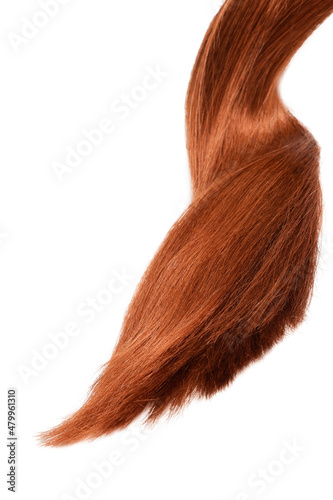 Brown red hair natural , isolated on white background , beauty 