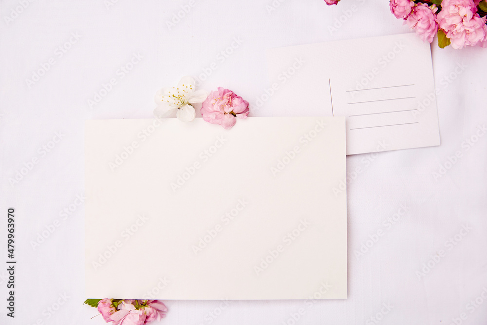 Spring delicate post card with place for address and stationery card mock up with pink and white flowers. Woman's day, invitation, romantic, wedding, birthday, Mother's day card concept. Copy space.
