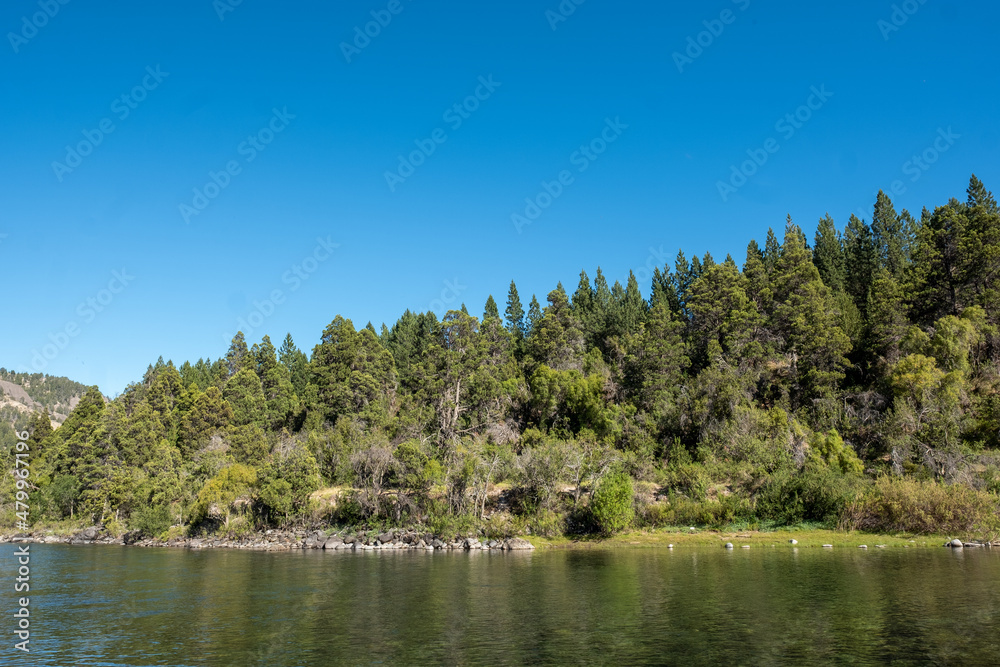 Fototapeta premium lake in the forest