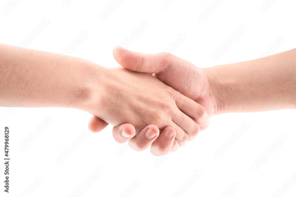Handshake. Handshaking isolated on white background. Handshake. Handshaking isolated on white background.