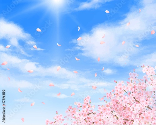 美しく華やかな桜の花と花びら舞い散る春の爽やか青空に光差し込む雲のフレーム背景ベクター素材イラスト
