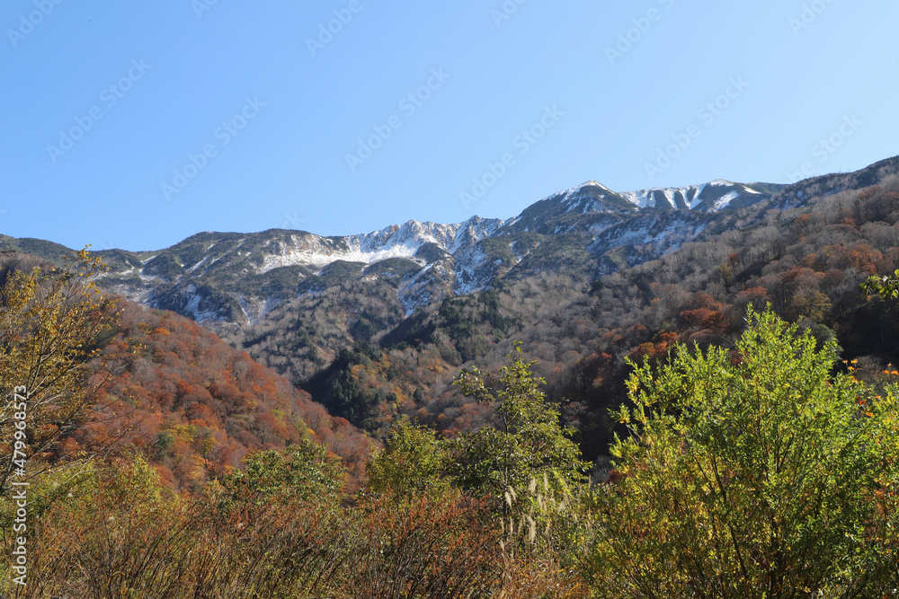 白山登山口・別当出合の紅葉と雪化粧の山並み（石川県白山市）