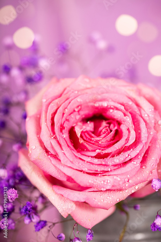 Beautiful summer vertical card with a pink rose and a little violet flowers and beautiful bokeh  soft focus