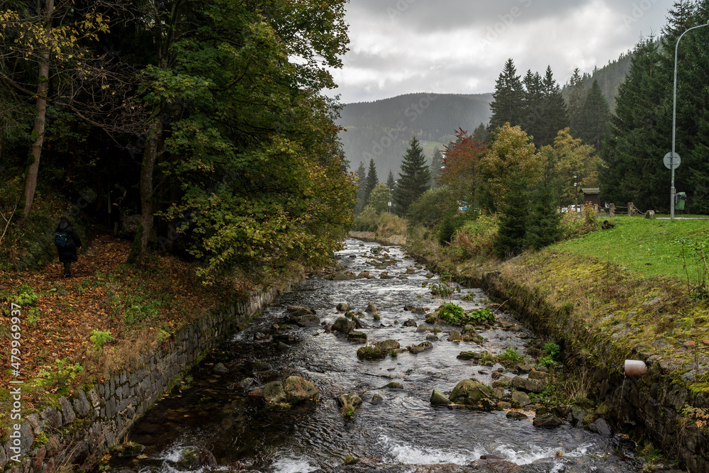 The Upa river in the Czech Republic and a left tributary of the river Elbe. Near of small town Pec pod Snezkou. The Upa river in the Czech Republic and a left tributary of the river Elbe. Near of small town Pec pod Snezkou.