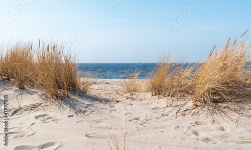 Sandy passage through dry grass to the Baltic Sea.