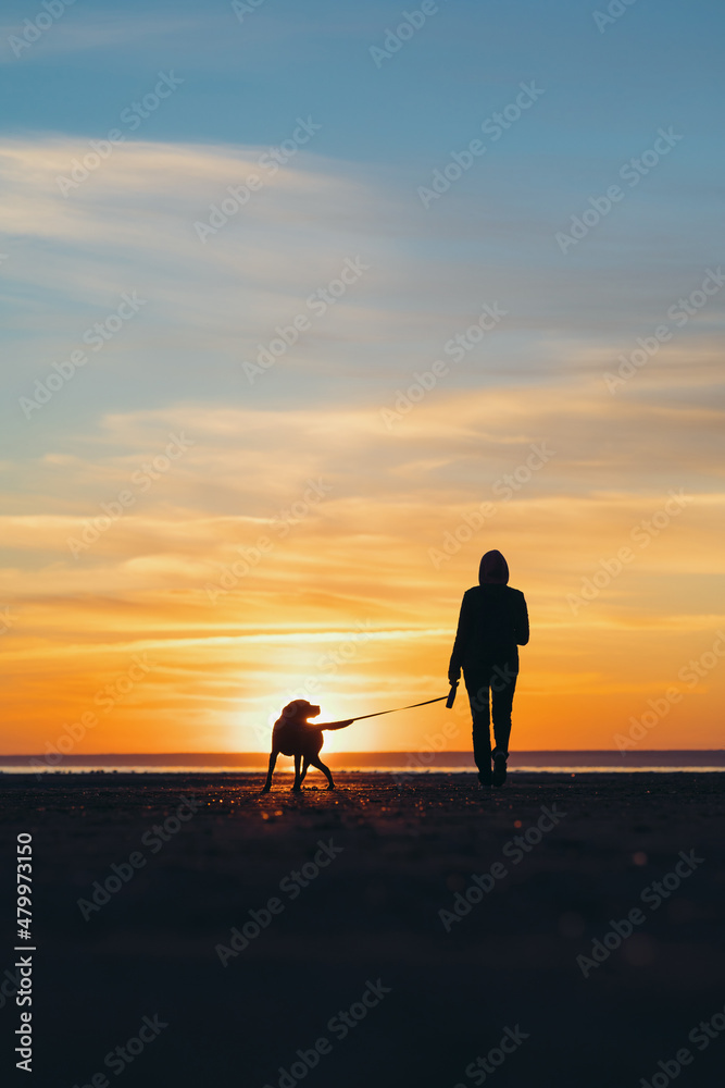 the silhouette of a man against the background of a sunset on a lake or sea. a woman or a man on the background of the setting sun walks and plays with his dog in nature, the friendship of man and dog
