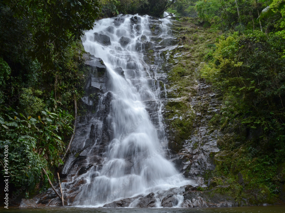 Fototapeta premium Waterfall in the forest