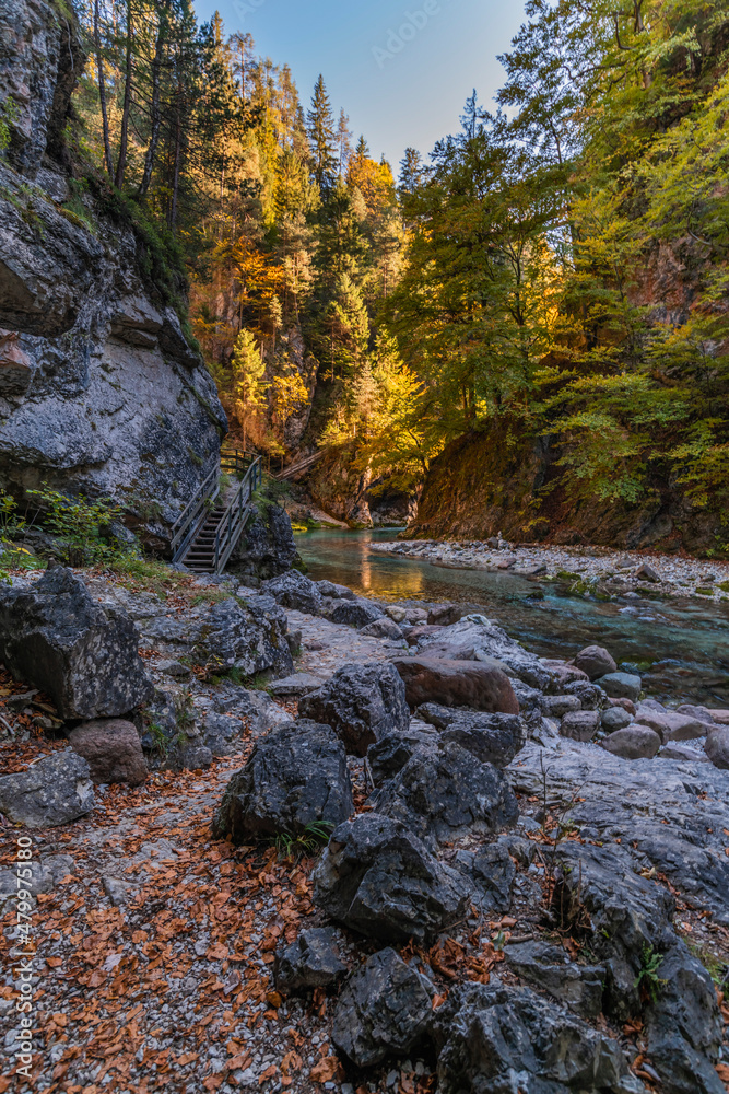 Autumn and colors of nature in the Tarvisio area. Orrido dello Slizza. Autumn and colors of nature in the Tarvisio area. Orrido dello Slizza.