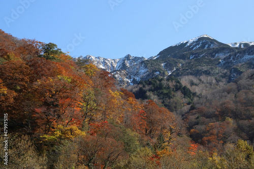 白山登山口・別当出合の紅葉と雪化粧の山並み（石川県白山市） © てっぴぃ