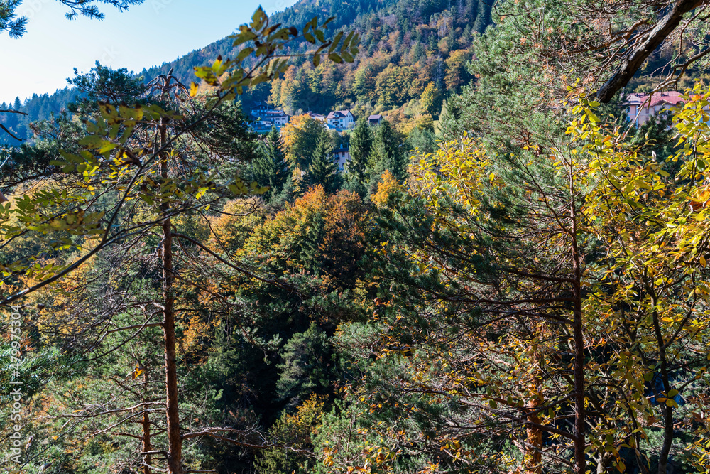Autumn and colors of nature in the Tarvisio area. Orrido dello Slizza. Autumn and colors of nature in the Tarvisio area. Orrido dello Slizza.